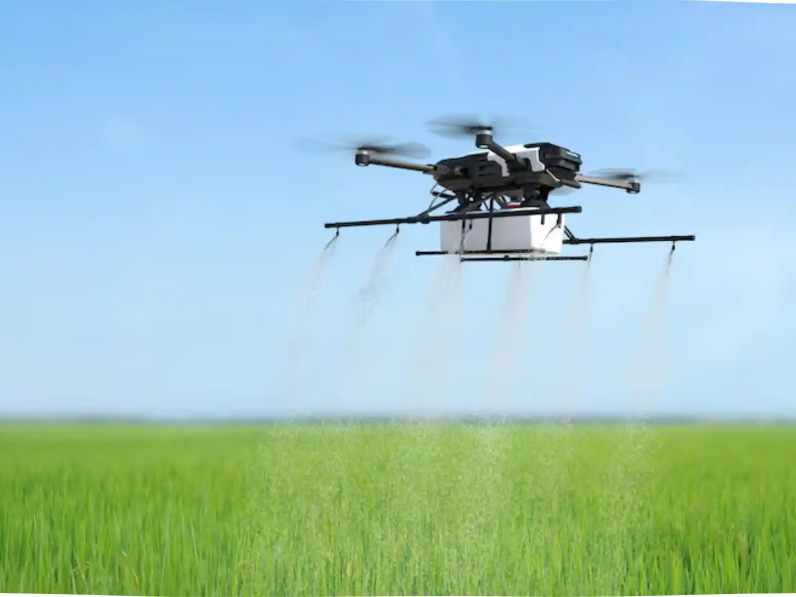 Agriculture Sector Legal Services