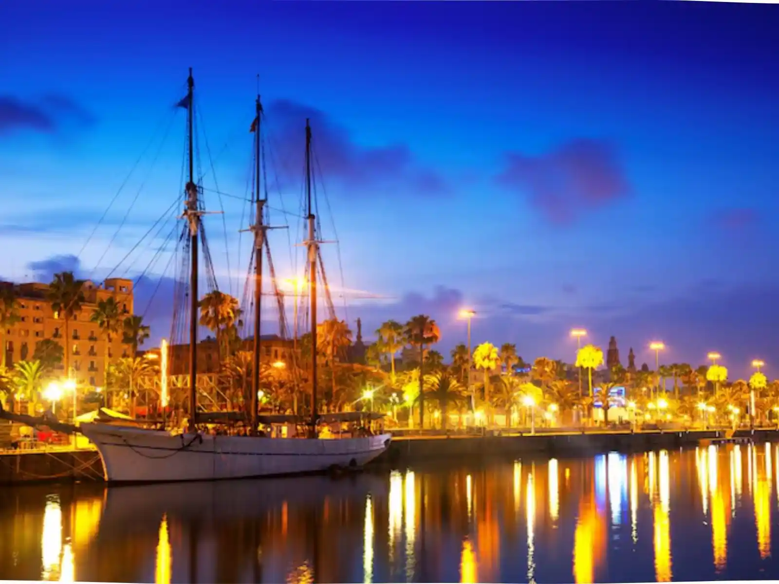Customs & Import-Export Lawyers in Saudi Arabia