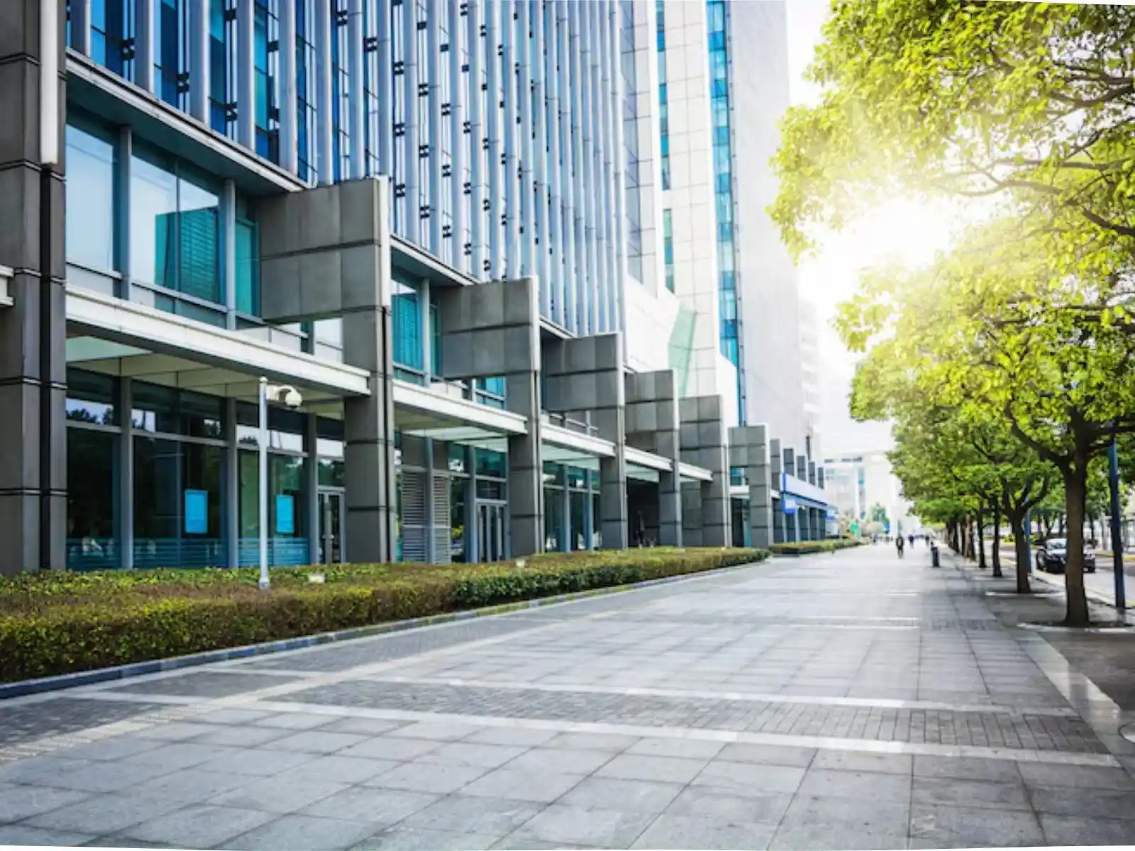 محامي قانون العقارات والملكية للشركات